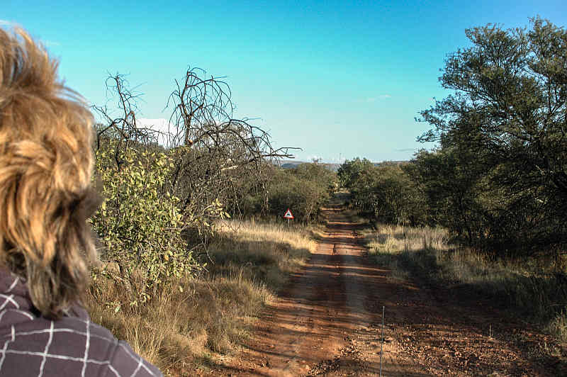 De rit in het 'bakkie' op weg naar de cheetahs voert door mooi landschap