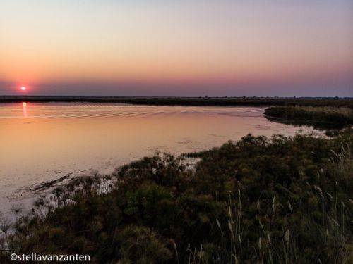 Okavango-delta at sunset