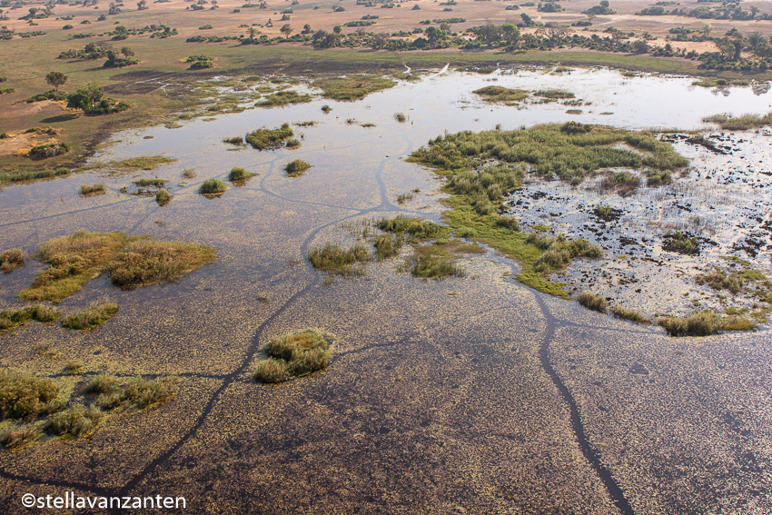 Okavango-delta from the air
