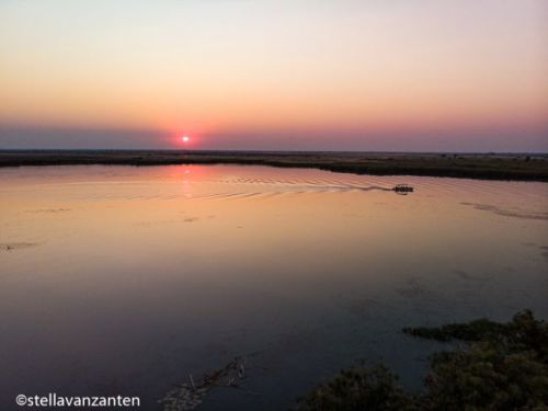 Okavango-delta at sunset