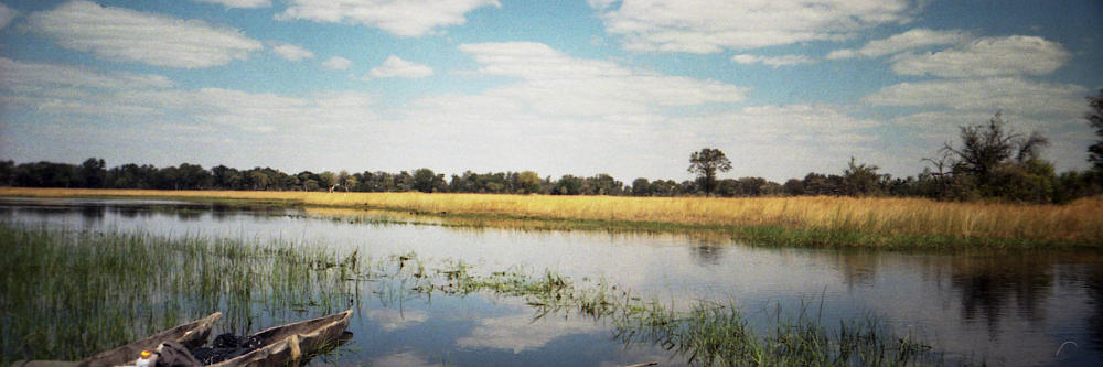 okavango-delta