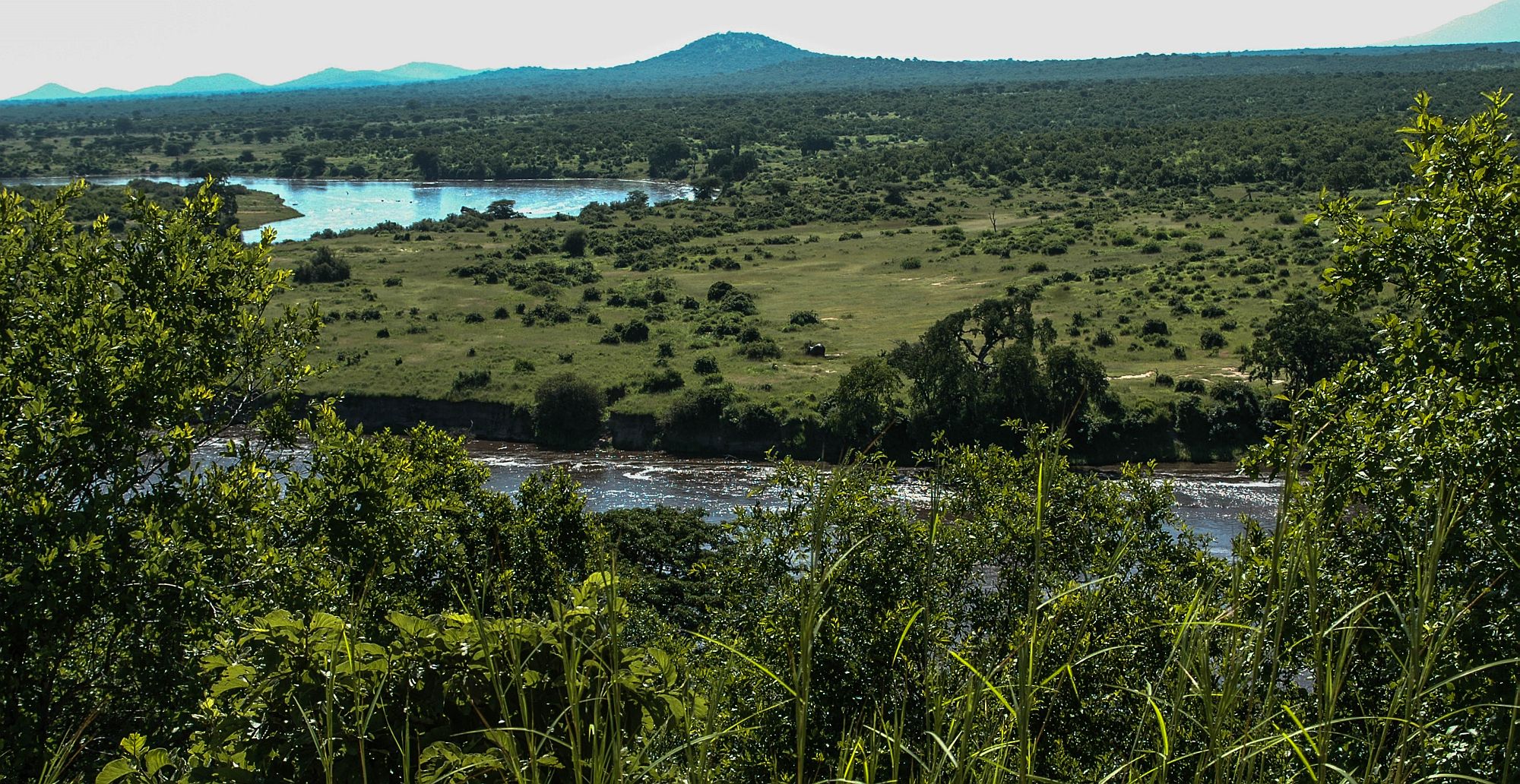 Selous-river in Tanzania