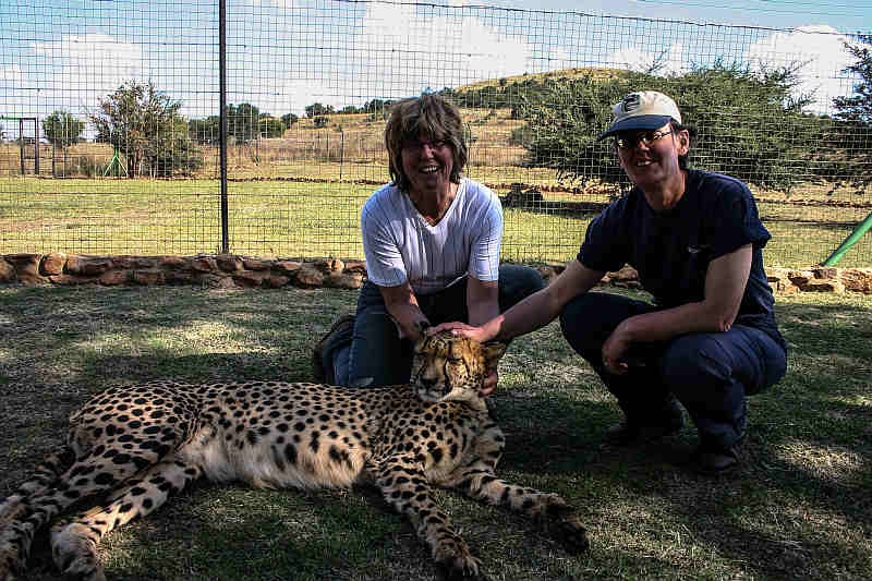 Savannah Cheetah Foundation