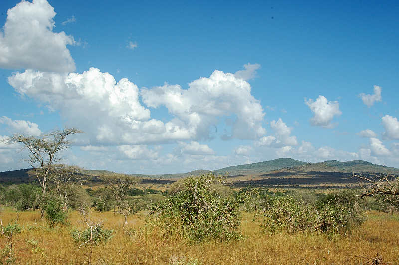 taita hills in kenya