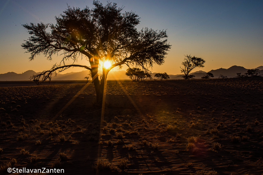 Zonsondergang in de Namib-woestijn