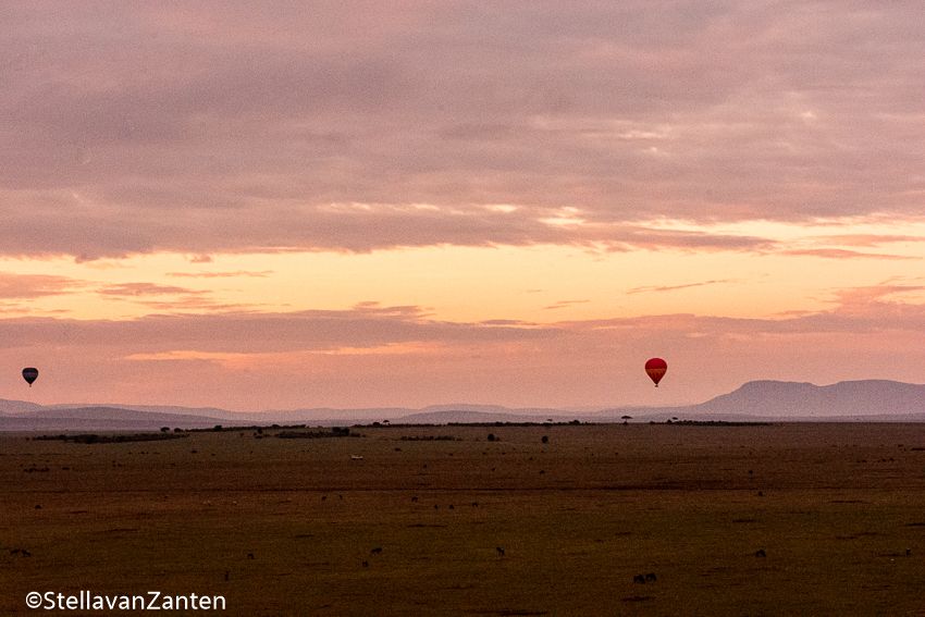 Ballonvaart boven de Masai Mara