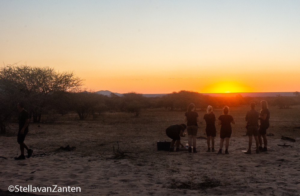 Volunteers of Leo Africa looking at the sunset