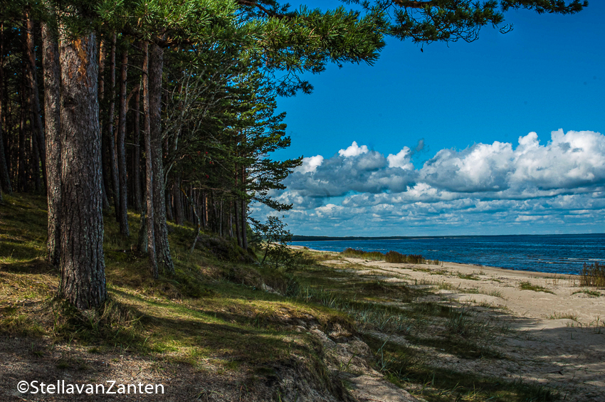 Strand met zeedennen vanaf Riga naar Kolka