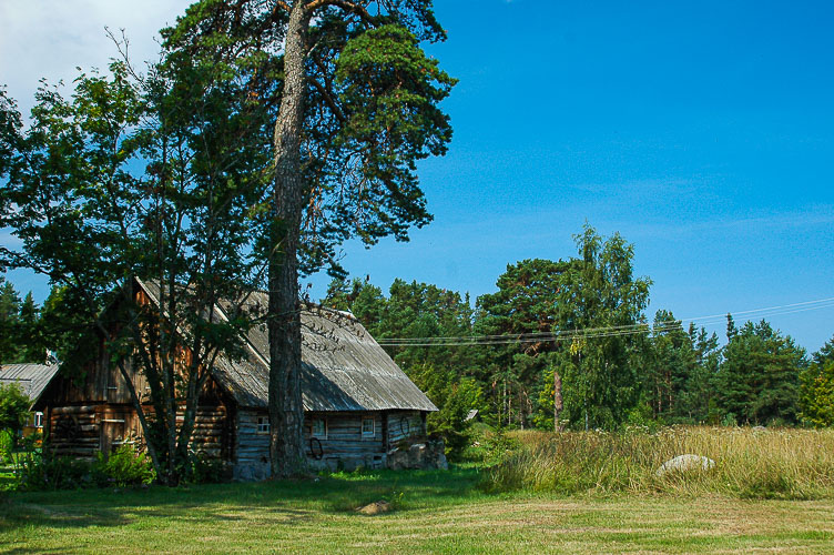 lonely house in Estonia