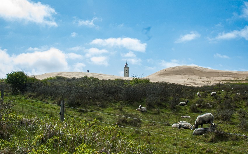vuurtoren Rubjerg Knude torent boven het duinlandschap uit