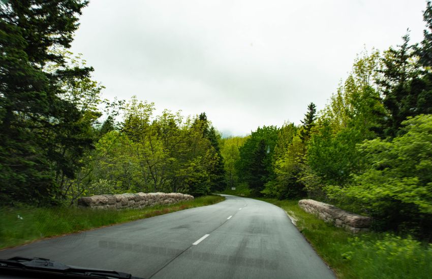 goed onderhouden wegen met op veel plekken aan weerszijden bos